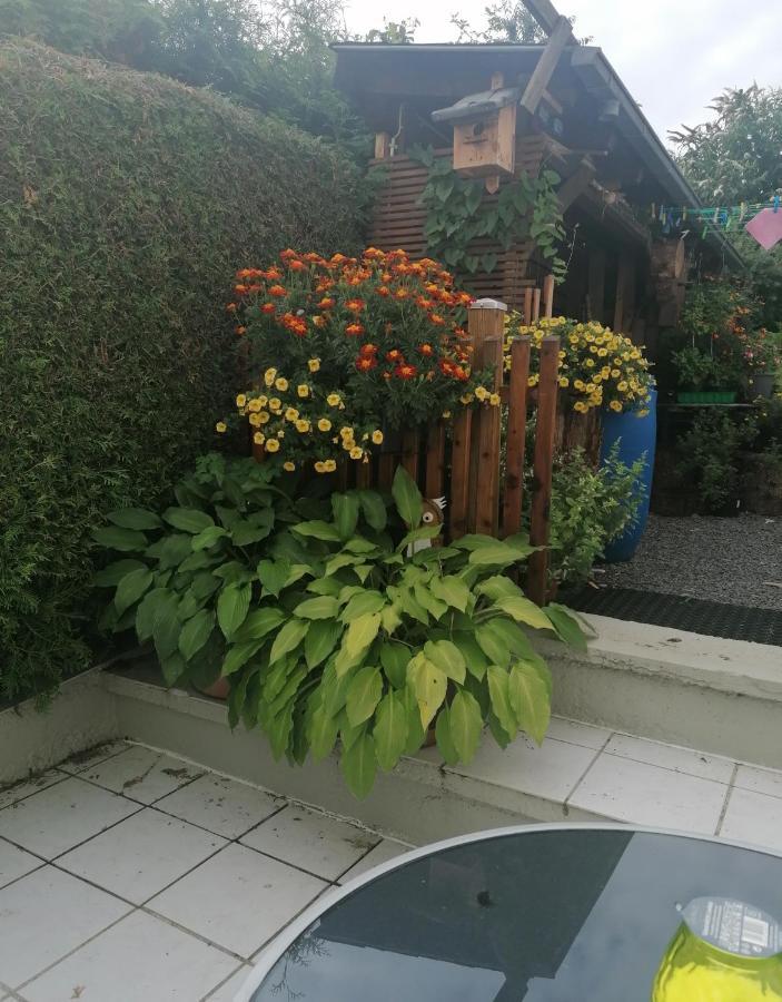 Ferienwohnung Grete Trier Luaran gambar